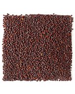 Mustard seeds-500g / Musturd seeds / Kadugu