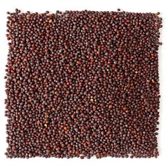 Mustard seeds-500g / Musturd seeds / Kadugu