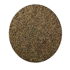 Cumin Seed 200 GM